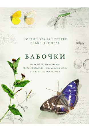 Бабочки. Основы систематики, среда обитания, жизненный цикл и магия