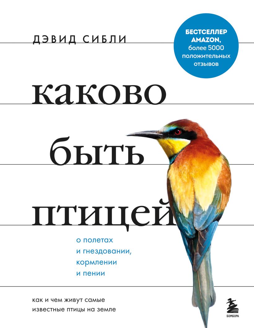 Каково быть птицей