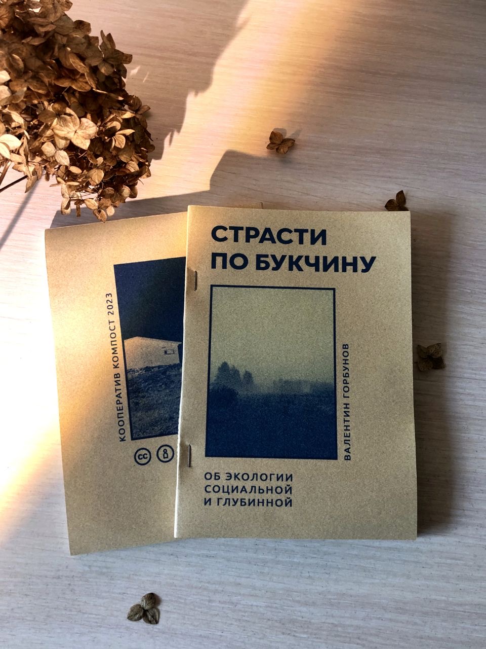 Страсти по Букчину