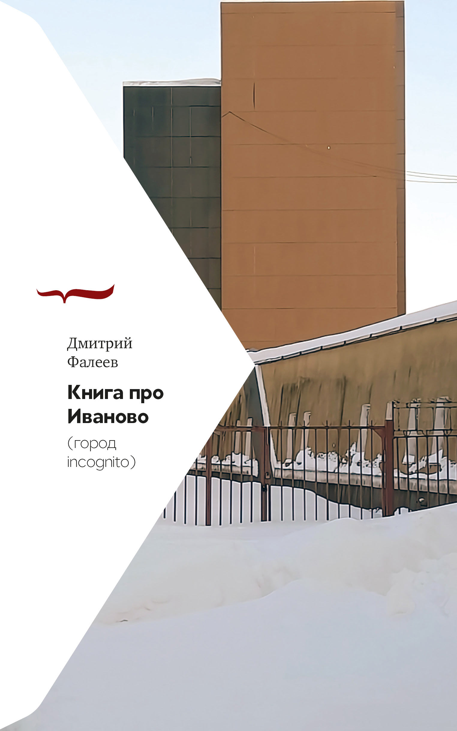Книга про Иваново. Город incognito