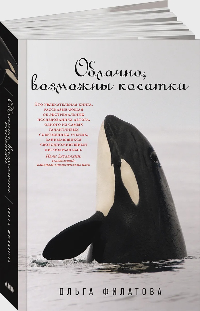 Облачно, возможны косатки