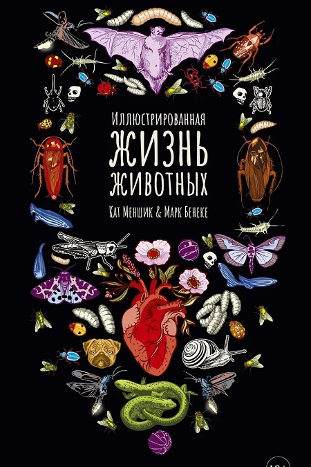 Иллюстрированная жизнь животных