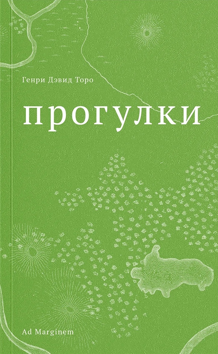Прогулки
