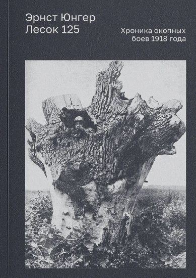 Лесок 125. Хроника окопных боев 1918 года