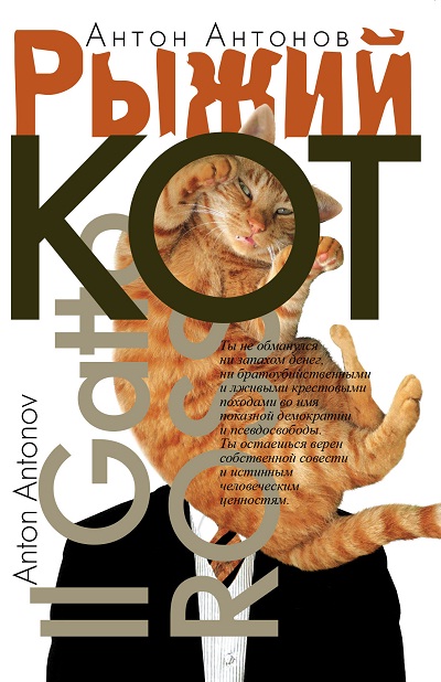 Рыжий кот.Il Gatto Rosso.